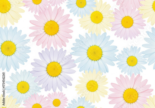 Daisy Floral Background