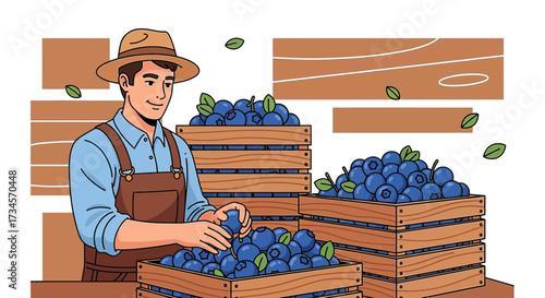 Illustration of a happy farmer harvesting fresh organic blueberries in wooden crates