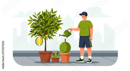 Illustration of a man watering durian trees in pots in a city environment