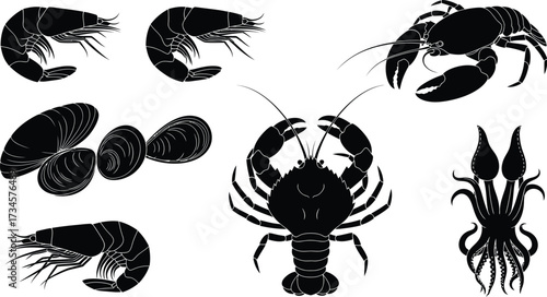 Vector art of seafood collection