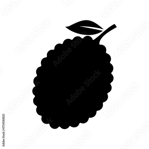 Exotic rambutan fruit silhouette with leaf, organic and tropical food