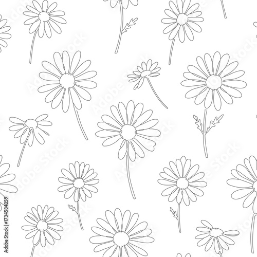 Delicate Handdrawn Dandelion Flower Head Repeating Pattern in Black and White