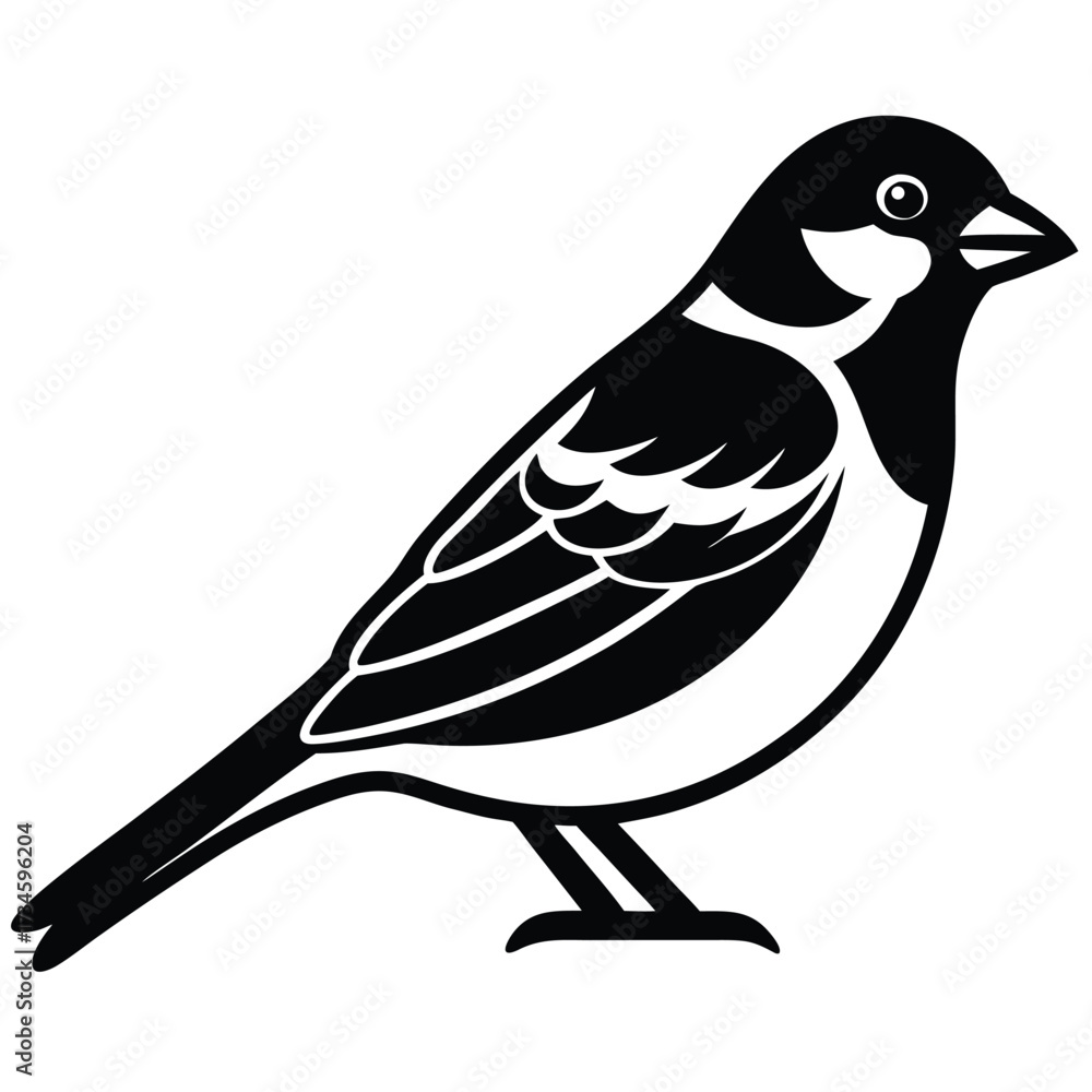 Obraz premium sparrow vector icon on white background