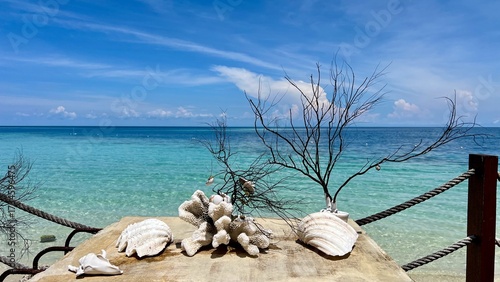 Muscheln am Strand der Banyak-Inseln, Sumatra