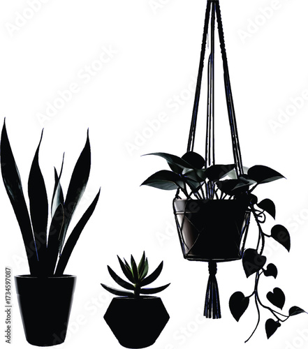 Silhouettes of three potted houseplants on a white background