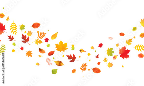 Autumn Border And Colorful Leaves
