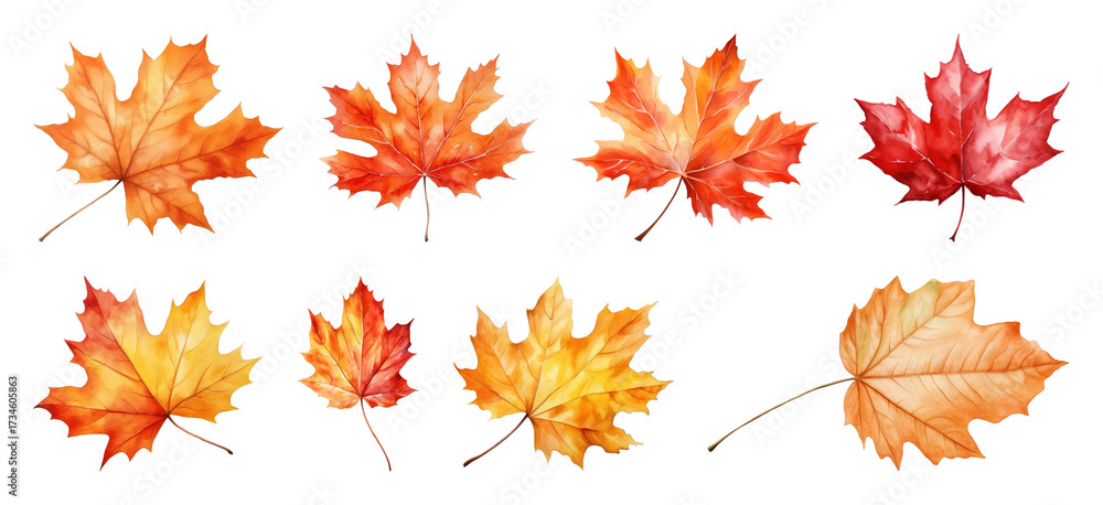 Fototapeta premium Vibrant watercolor autumn leaves