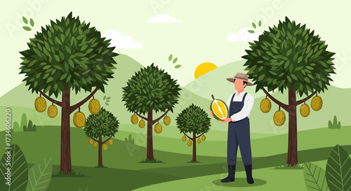Durian farmer inspecting fruit quality in orchard with trees and natural landscape at harvest time