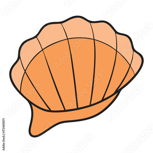 Orange seashell illustration marine ocean