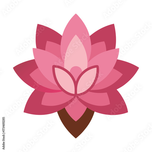 Pink lotus flower bloom floral petals