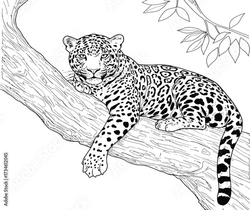 Jaguar resting on a tree branch, detailed line art.