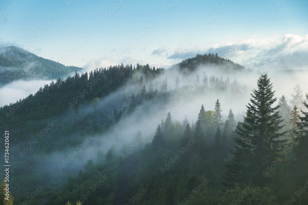 Fototapeta premium Mountain range with visible silhouettes through the morning colorful fog.
