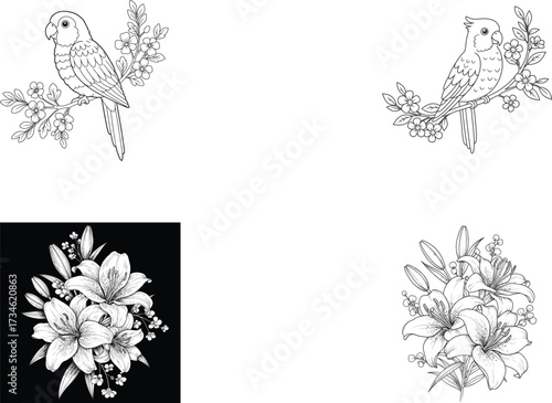 A collection of four black and white illustrations featuring parrots on branches and lily bouquets, presented in both line art and shaded styles.