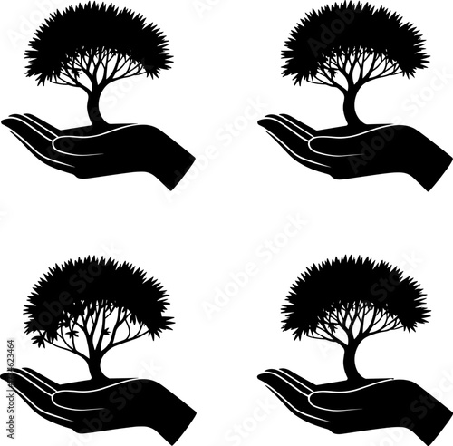 Fortune Money Tree Illustration