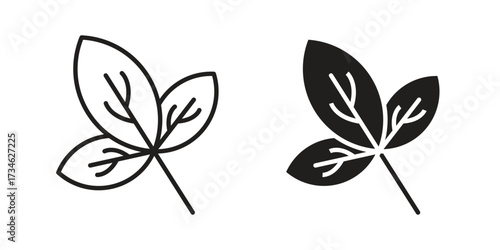 Basil icons in line stroke outline art and clip art