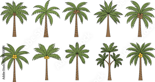 Palm tree illustration set, tropical plant icons, coconut tree variations, botanical vector design, summer nature graphic, landscape element collection