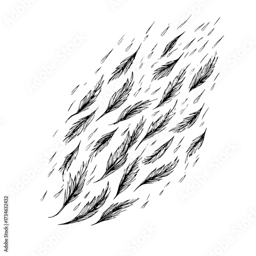 Falling feathers and raindrops in a monochrome illustration with a diagonal composition and white background