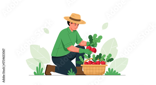 Illustration depicting a farmer harvesting radishes in a garden setting with leaves