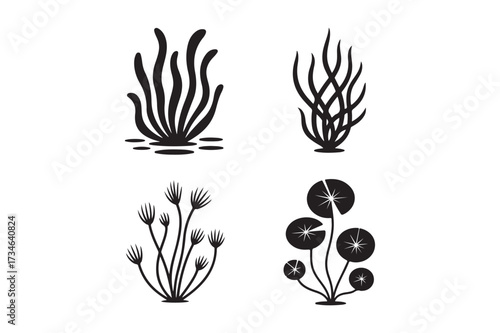 Four stylized black and white aquatic plant illustrations
