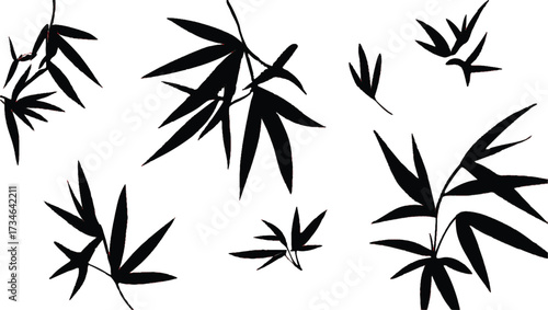 Black silhouette bamboo leaves on white background