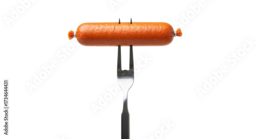 Obraz na plátně Isolated grilled sausage, impaled on a fork, simple fast food snack, delicious,