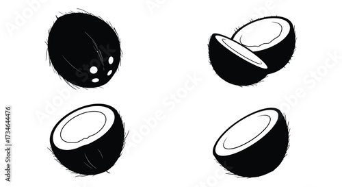 Black and white illustration depicting a whole and broken coconut pieces