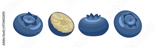 Blueberries whole and cut. Set of fresh berry. Vector cartoon flat illustration.