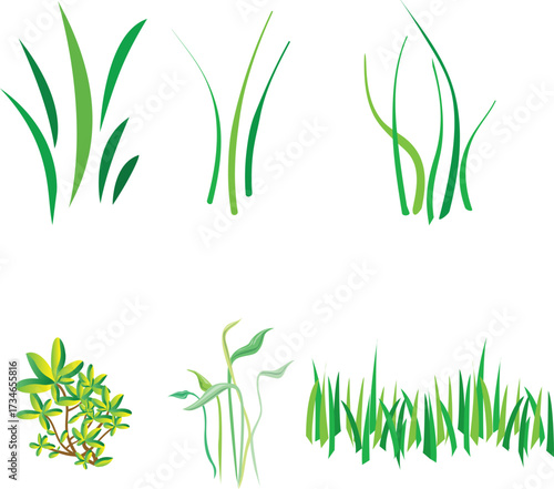 Detailed illustration of green grass blades with dew drops isolated on white background