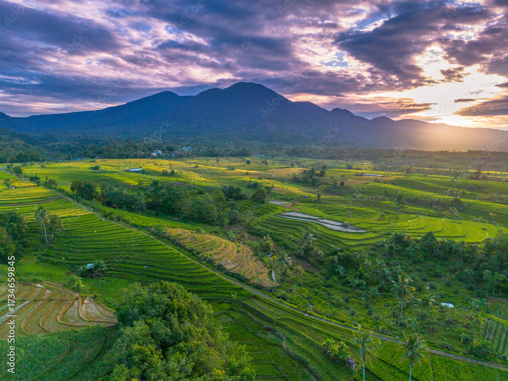 Fototapeta premium Beautiful morning view indonesia Panorama Landscape paddy fields with beauty color and sky natural light