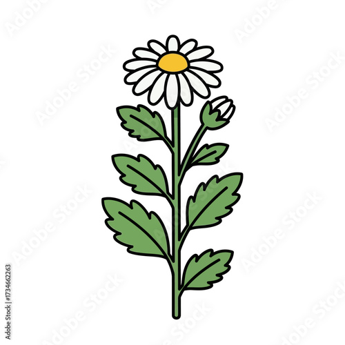 A simple, stylized illustration of a daisy flower with a bud and green leaves on a white background.