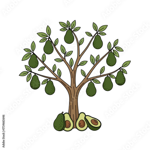 An illustration of an avocado tree laden with ripe avocados, with some fallen to the ground.
