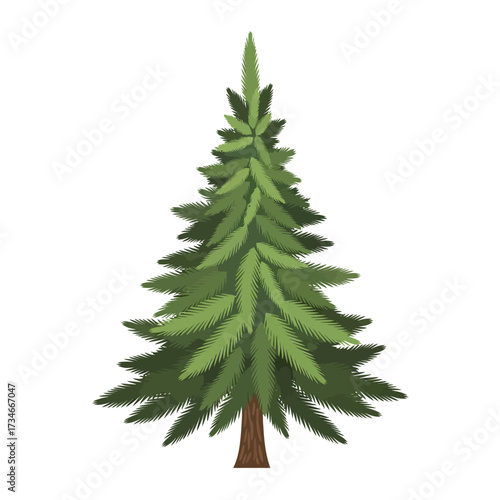 Stylized illustration of a lush green pine or fir tree with a brown trunk, isolated on a white background.