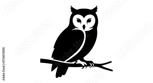 Owl silhouette perched on branch
