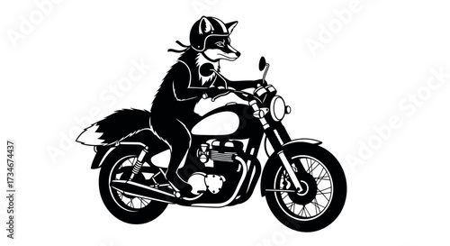 Silhouette of a fox wearing a helmet riding a motorcycle on a transparent background also white background white background vector illustration