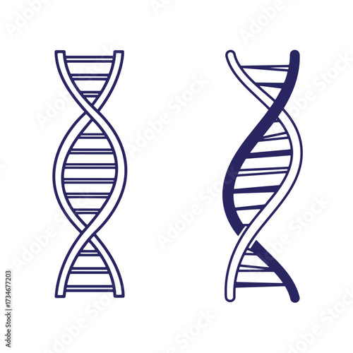 Two drawn illustrations representing simplified dna structures in a science education style