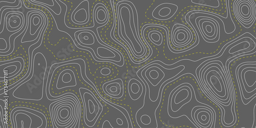 seamless abstract pattern. Ultra wide size. Black and white colors. Vector illustration. The stylized height of the topographic contour in lines and contours