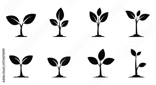 Simple black and white illustration of various young plant sprouts growing