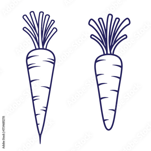 Two simple outlined carrots illustration depicting fresh vegetable and healthy food options