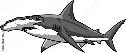 Cartoon Hammerhead Shark, Marine Predator, Underwater Illustration