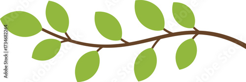 Delicate green leaves branch nature botanical organic growth plant element simple spring new life freshness flat design vector illustration white background