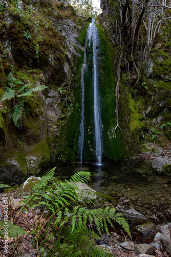 Serene waterfall cascading down rocky cliff surrounded by lush greenery in a tranquil forest setting