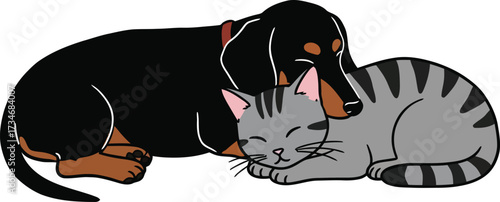 Adorable dachshund dog and tabby cat sleeping peacefully together friendship and companionship flat design vector illustration white background