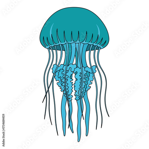 A vibrant blue and teal jellyfish with a bell-shaped body and numerous long, flowing tentacles against a plain white background.