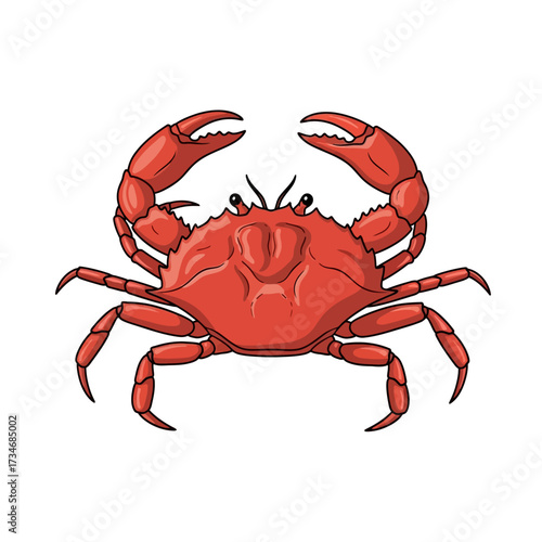 A vibrant red crab with large claws and eight legs, illustrated in a cartoon style.