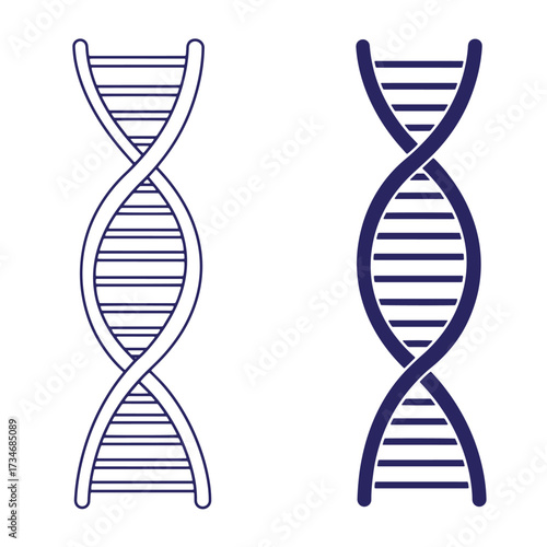 Vector illustration of two dna double helix structures depicting science and genetics