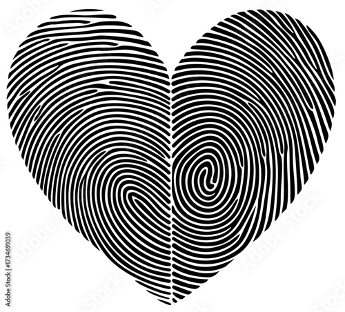 Fingerprint heart with mirrored prints facing each other, symbol of harmony, individuality and marital unity, representing two unique lives joined together