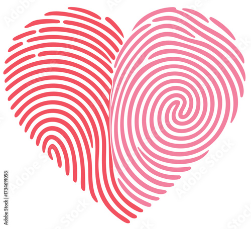 Fingerprint heart with red and pink lines merging together, unique biometric love pattern