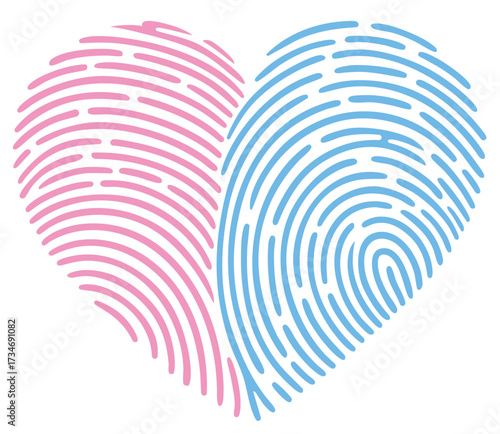 Fingerprint heart with pink and blue halves, symbol of boy and girl love, gender identity, baby shower and newborn gender reveal celebration