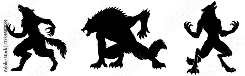 Set of werewolf silhouettes in different poses — standing, howling and crouching wolf monsters with claws, tails and fangs, horror night creatures for Halloween