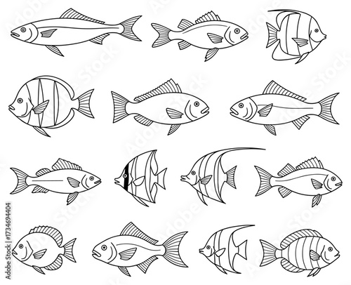 Hand-drawn fish vector set featuring freshwater and tropical species for coloring books, seafood menus, aquarium decor, and educational use.